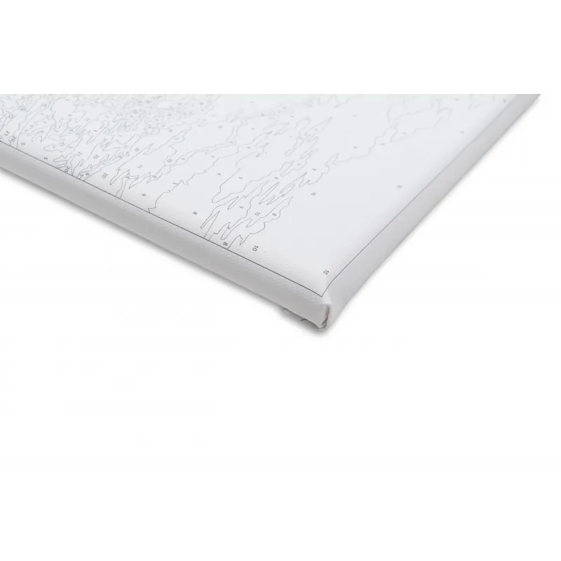 Malen nach Zahlen Set. Regenbogen Zebra 40x50 cm T077