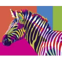 Malen nach Zahlen Set. Regenbogen Zebra 40x50 cm T077