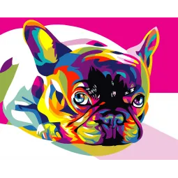 Malen nach Zahlen Set. Regenbogen Französische Bulldogge 40x50 cm T080