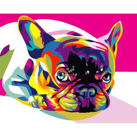 Paint by numbers kit. Rainbow french bulldog 40x50 cm T080