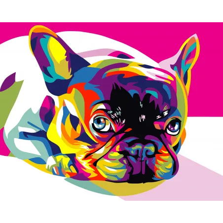 Kit de peinture par numéros. Bouledogue français arc-en-ciel 40x50 cm T080