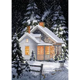 (D) Žiemos komfortas 27*38 cm WD112