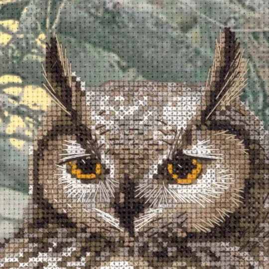 Cross stitch kit "Eagle Owl" 0038 PT