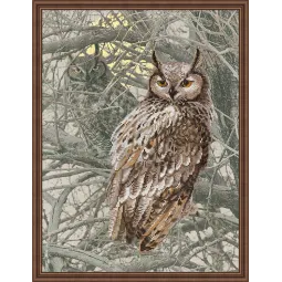 Cross stitch kit "Eagle Owl" 0038 PT