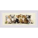 Cross stitch kit "Kittens" 40x15 SR2180