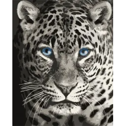 Paveikslų pagal skaičius rinkinys. F012 Mėlynakis leopardas 40*50