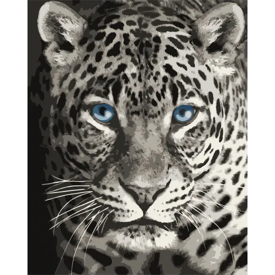 Painting by numbers kit. F012 Blue eyed leopard 40*50