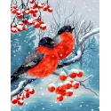 Wizardi Painting by Numbers Kit Bullfinches 40x50 cm L026