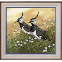 (Nutraukta) Lapwings S/Z058