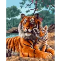 Paint by Numbers kit "Tiger cub with mom" 40x50 cm H169