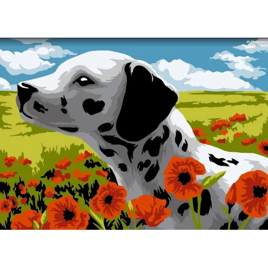 Kit peinture par numéros Dalmatien 16x13 cm MINI144