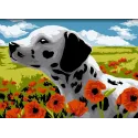 Paint by numbers kit Dalmatian 16x13 cm MINI144