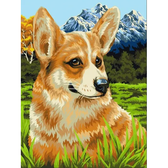 Kit peinture à numéros "Corgi en promenade" 40x50 cm H094