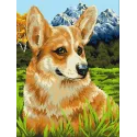 Kit peinture à numéros "Corgi en promenade" 40x50 cm H094