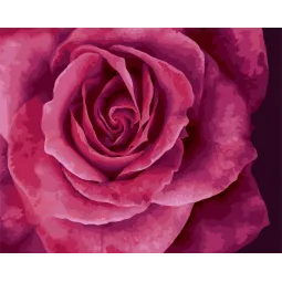 Malen nach Zahlen Set. B114 Lovely rose 40*50