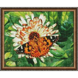 (Eingestellt) Diamond Painting Kit Schmetterling auf der Blume 50х40 cm AZ-1205
