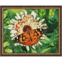 (Eingestellt) Diamond Painting Kit Schmetterling auf der Blume 50х40 cm AZ-1205