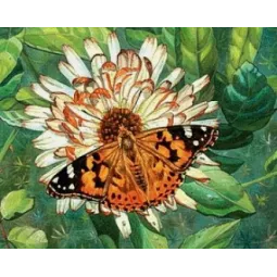 (Abandonné) Kit de peinture diamant Papillon sur la fleur 50х40 cm AZ-1205