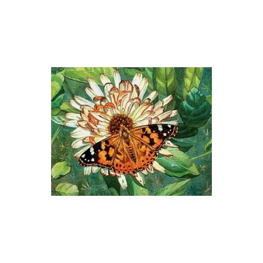 (Eingestellt) Diamond Painting Kit Schmetterling auf der Blume 50х40 cm AZ-1205