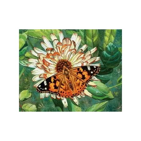 (Eingestellt) Diamond Painting Kit Schmetterling auf der Blume 50х40 cm AZ-1205