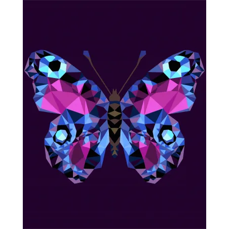 Painting by numbers kit. P003 Butterfly (polygon style) 40*50