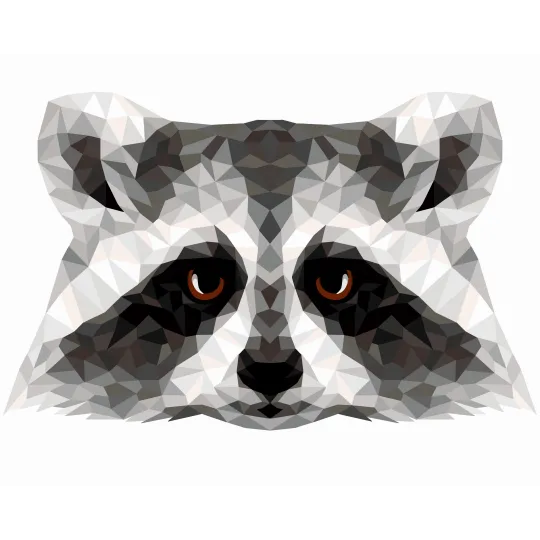 (SALE) Painting by numbers kit. P006 Raccoon (polygon style) 40*50