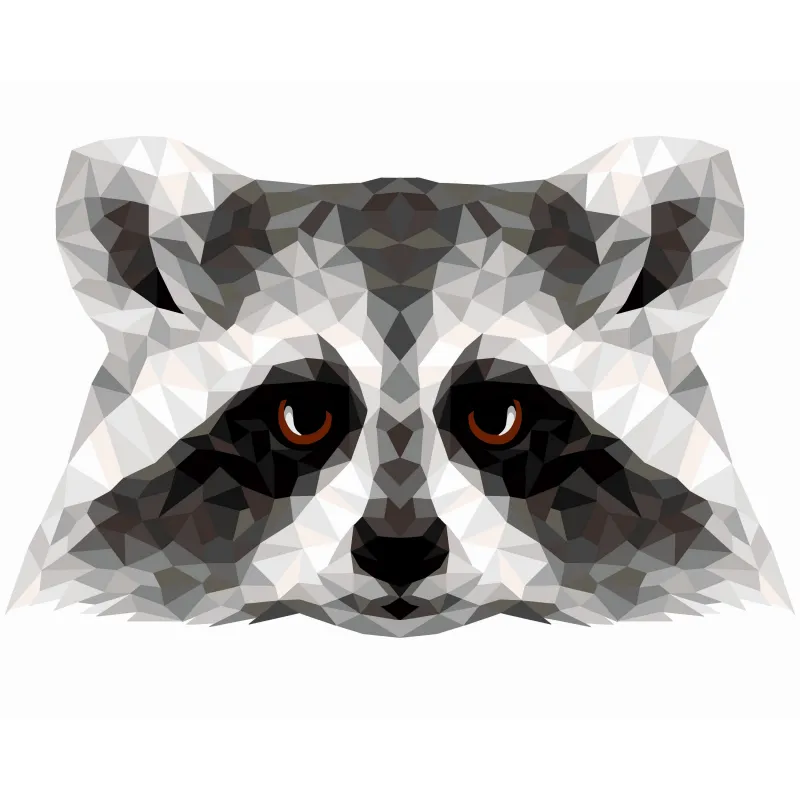 (SALE) Painting by numbers kit. P006 Raccoon (polygon style) 40*50