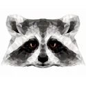 (SALE) Painting by numbers kit. P006 Raccoon (polygon style) 40*50