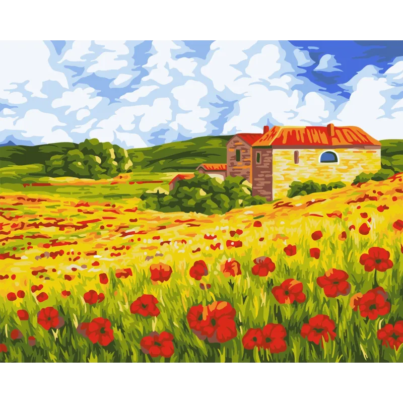 Wizardi Kit de peinture par numéros Prairie de coquelicots 40x50 cm A091