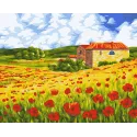 Wizardi Kit de peinture par numéros Prairie de coquelicots 40x50 cm A091