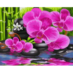 Wizardi Painting by Numbers Kit Oriental Garden 40x50 cm B081