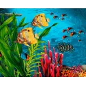 Wizardi Painting by Numbers Kit Coral Reefs 40x50 cm H104