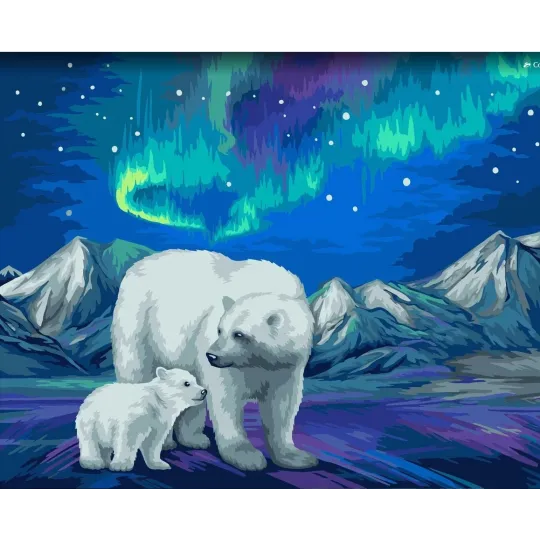Wizardi Malen nach Zahlen Kit. Aurora Borealis 40x50 cm H095 0125
