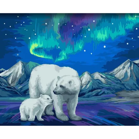 Wizardi Malen nach Zahlen Kit. Aurora Borealis 40x50 cm H095 0125