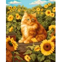 Malen-nach-Zahlen-Set „Katze in den Sonnenblumen“ 40x50 cm W025