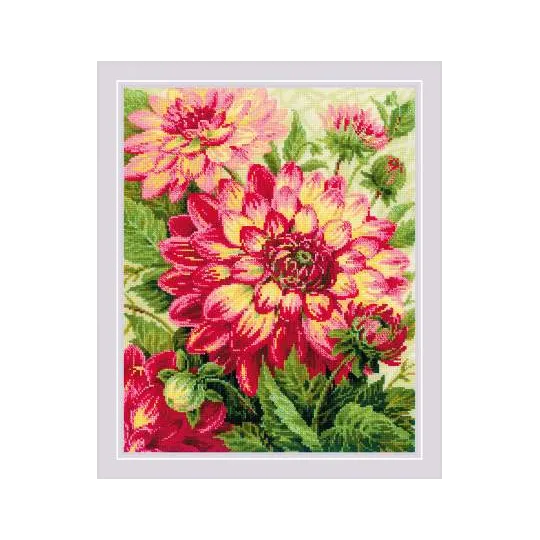 Dahlias SR1968