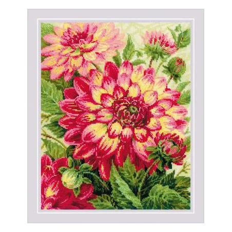 Dahlias SR1968