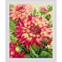 Dahlias SR1968