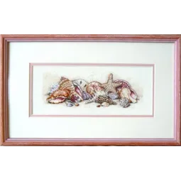 Seashell Tresures D65035