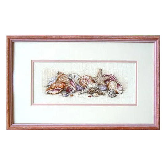 Trésors de coquillages D65035