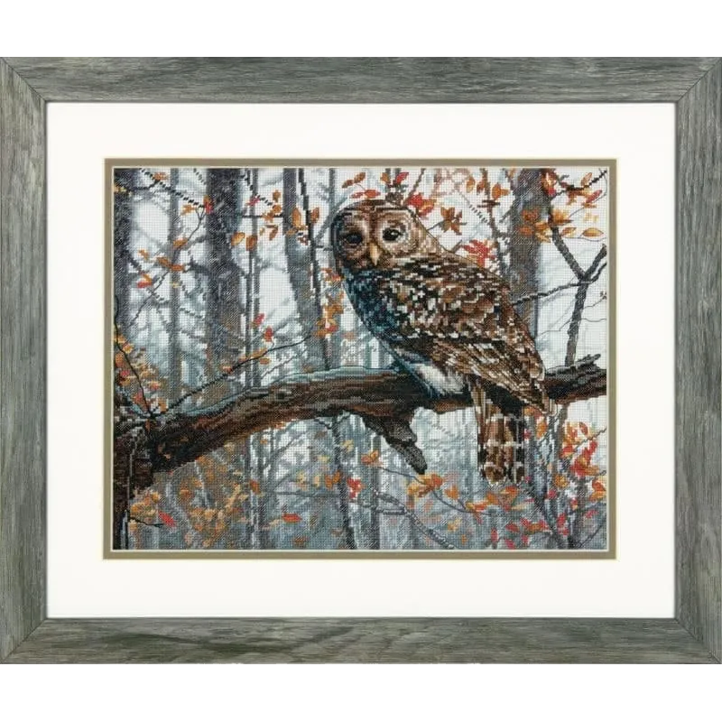 Wise Owl D70-35311