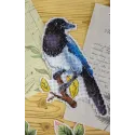 Cross stitch kit "Magpie" SR-882