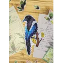 Cross stitch kit "Magpie" SR-882