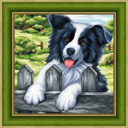 Deimantinės tapybos rinkinys "Border Collie 25х25 cm" AM1609