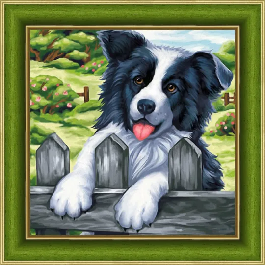 Diamant-Malerei-Set „Border Collie 25 x 25 cm“ AM1609