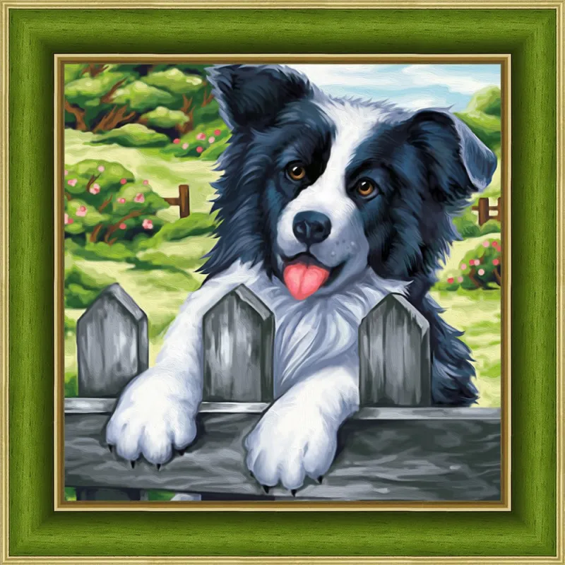 Kit de peinture diamant "Border Collie 25х25 cm" AM1609