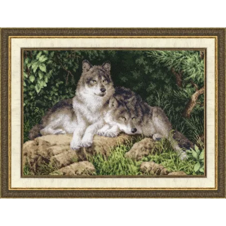 (C) Žiemos plėšrūnai S/DZH027