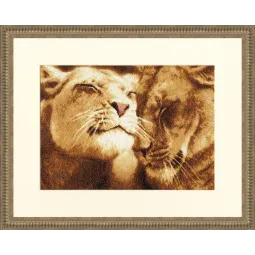 (C) Lions amoureux S/DZH028
