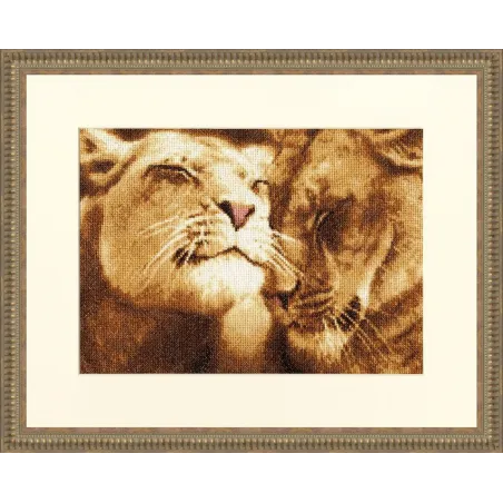 (C) Lions in Love S/DZH028