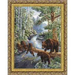 (C) Terre des ours S/DZH035